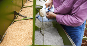 खतांचा काळाबाजार रोखण्यासाठी राज्यस्तरावर डॅशबोर्ड विकसित करणार : कृषिमंत्री Bogus Fertilizer