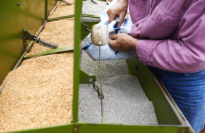 खतांचा काळाबाजार रोखण्यासाठी राज्यस्तरावर डॅशबोर्ड विकसित करणार : कृषिमंत्री Bogus Fertilizer