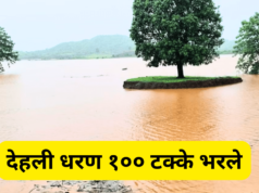 देहली धरण १०० टक्के भरले : नदी काठ व धरण क्षेत्रातील नागरिकांनो सावधान !
