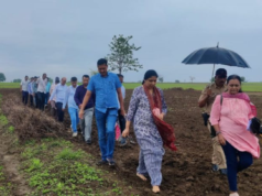 प्रधानमंत्री पीक विमा योजनेचा अधिकाधिक शेतकऱ्यांनी लाभ घ्यावा – विभागीय आयुक्त