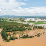 Heavy Losses due to Flood