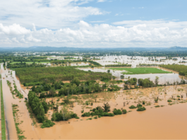 Heavy Losses due to Flood