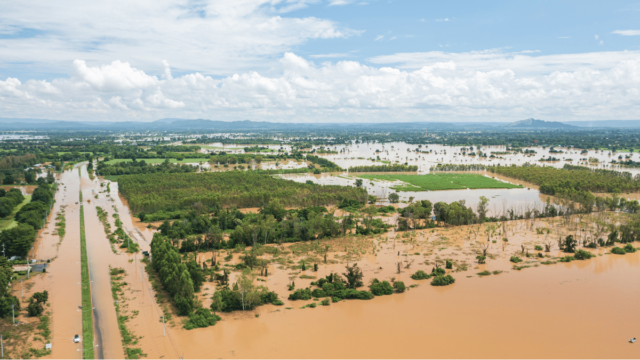 Heavy Losses due to Flood