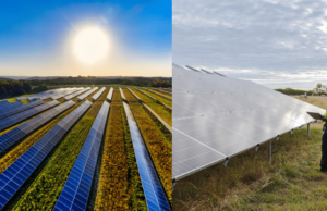 मुख्यमंत्री सौर कृषी वाहिनी योजनेसाठी नंदुरबार जिल्ह्यातून 229 एकर जमीन उपलब्ध Solar MSKVY 2.0