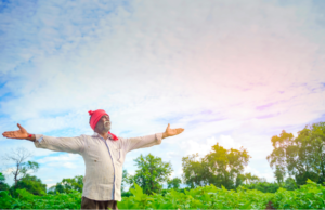 शेतकऱ्यांनो ! आता एका रुपयात काढा पीकविमा