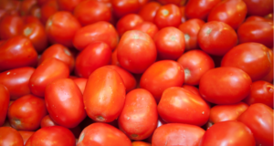 केंद्र सरकारच्या हस्तक्षेपानंतर टोमॅटोचे घाऊक भाव कमी
