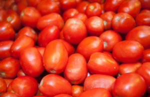 केंद्र सरकारच्या हस्तक्षेपानंतर टोमॅटोचे घाऊक भाव कमी