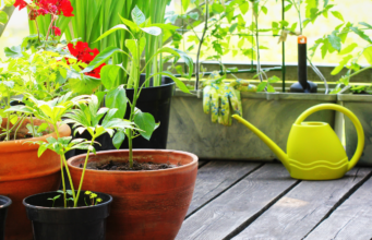 ग्रीन स्कुल-टेरेस फार्मिंग या अभिनव उपक्रमाचे शिक्षण मंत्री यांच्या हस्ते उदघाटन