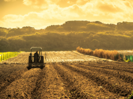 agriculture insurance