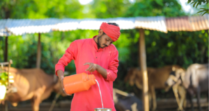 पशुखाद्य दर २५ टक्यांनी कमी करावेत : मंत्री राधाकृष्ण विखे पाटील