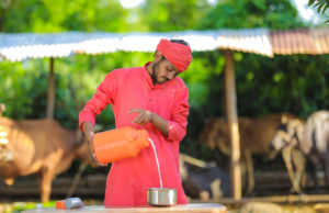 पशुखाद्य दर २५ टक्यांनी कमी करावेत : मंत्री राधाकृष्ण विखे पाटील