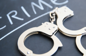 तळोदा तालुक्यातील आमलाड जवळ सात लाखांचा विदेशी मद्यसाठा जप्त