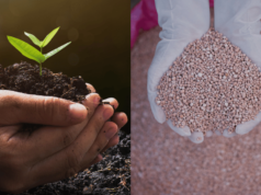 खतासंबंधी तक्रार नोंदविण्यासाठी व्हॉट्स ॲप क्रमांक कार्यान्वित करा : कृषी मंत्री