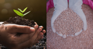 खतासंबंधी तक्रार नोंदविण्यासाठी व्हॉट्स ॲप क्रमांक कार्यान्वित करा : कृषी मंत्री