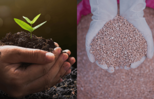 खतासंबंधी तक्रार नोंदविण्यासाठी व्हॉट्स ॲप क्रमांक कार्यान्वित करा : कृषी मंत्री