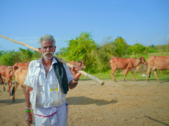 गोवर्धन गोवंश सेवा केंद्र योजनेसाठी अर्ज करावेत : डॉ.उमेश पाटील
