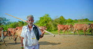 गोवर्धन गोवंश सेवा केंद्र योजनेसाठी अर्ज करावेत : डॉ.उमेश पाटील