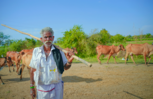 गोवर्धन गोवंश सेवा केंद्र योजनेसाठी अर्ज करावेत : डॉ.उमेश पाटील