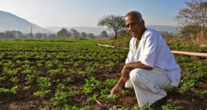 नुकसानग्रस्त शेतीचे तात्काळ पंचनामे करा : मंत्री गिरीष महाजन