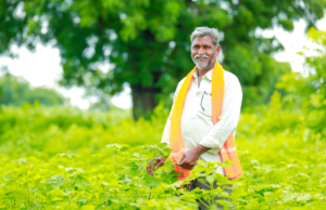 बोगस खते आणि बियाणे विक्रीसंदर्भात लवकरच कडक कायदा आणणार