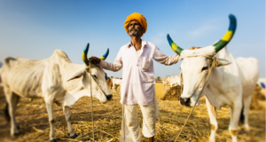 उत्तर महाराष्ट्राला दुष्काळमुक्त करू : उपमुख्यमंत्री देवेंद्र फडणवीस