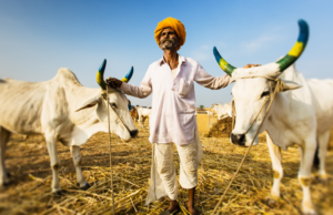 उत्तर महाराष्ट्राला दुष्काळमुक्त करू : उपमुख्यमंत्री देवेंद्र फडणवीस