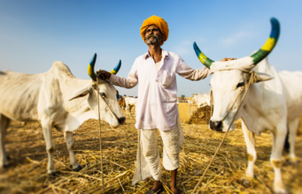 उत्तर महाराष्ट्राला दुष्काळमुक्त करू : उपमुख्यमंत्री देवेंद्र फडणवीस