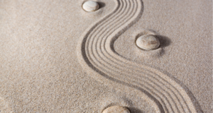 प्रति टन 133 रुपये दराने एका वेळी जास्तीत जास्त ५० टन वाळू मिळणार – महसूल मंत्री