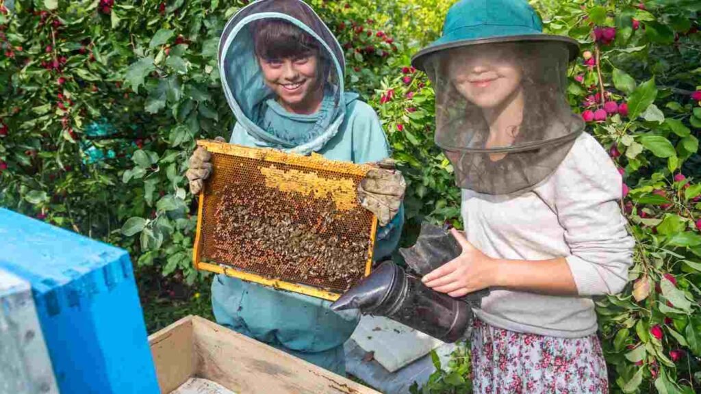 Honey Bee Keeping