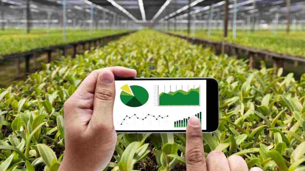 Indian Agriculture