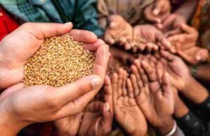 जिल्ह्यातील रद्द झालेले व राजीनामा दिलेल्या रास्तभाव दुकानांसाठी नवीन परवानासाठी मुदतवाढ Nandurbar District