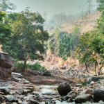 Rawalapani History