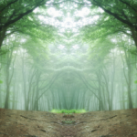 ST Tribal Land