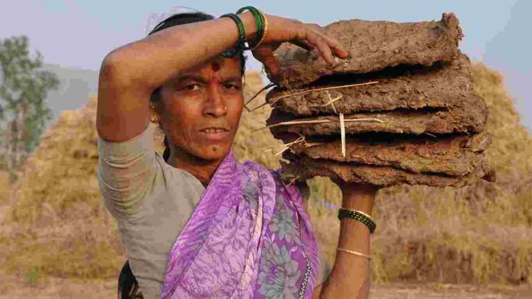 न्युक्लिअस बजेट योजनेसाठी 18 ऑगस्ट पर्यंत अर्ज स्विकारले जातील-चंद्रकांत पवार