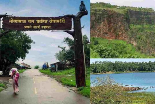 तोरणमाळ|तोरणमाळ हिल स्टेशन|Toranmal|Toranmal Hill Station|તોરણમાળ Toranmal