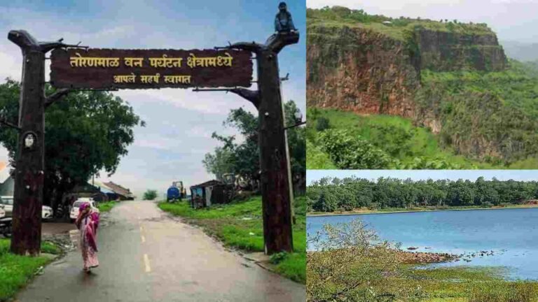 तोरणमाळ|तोरणमाळ हिल स्टेशन|Toranmal|Toranmal Hill Station|તોરણમાળ