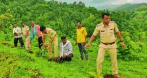 नंदुरबार पोलीस अधिक्षक पी आर पाटील यांच्या संकल्पनेतून तळोद्यात ८०० वृक्ष लागवड Tree Plantation at Taloda Nandurbar
