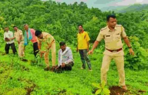 नंदुरबार पोलीस अधिक्षक पी आर पाटील यांच्या संकल्पनेतून तळोद्यात ८०० वृक्ष लागवड Tree Plantation at Taloda Nandurbar