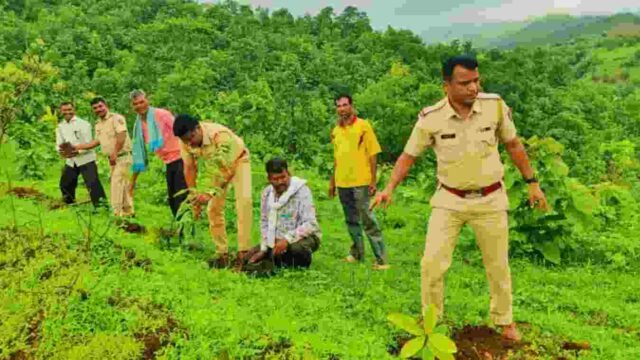 Tree Plantation at Taloda Nandurbar