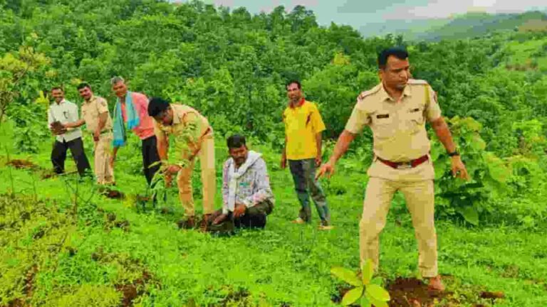 नंदुरबार पोलीस अधिक्षक पी आर पाटील यांच्या संकल्पनेतून तळोद्यात ८०० वृक्ष लागवड