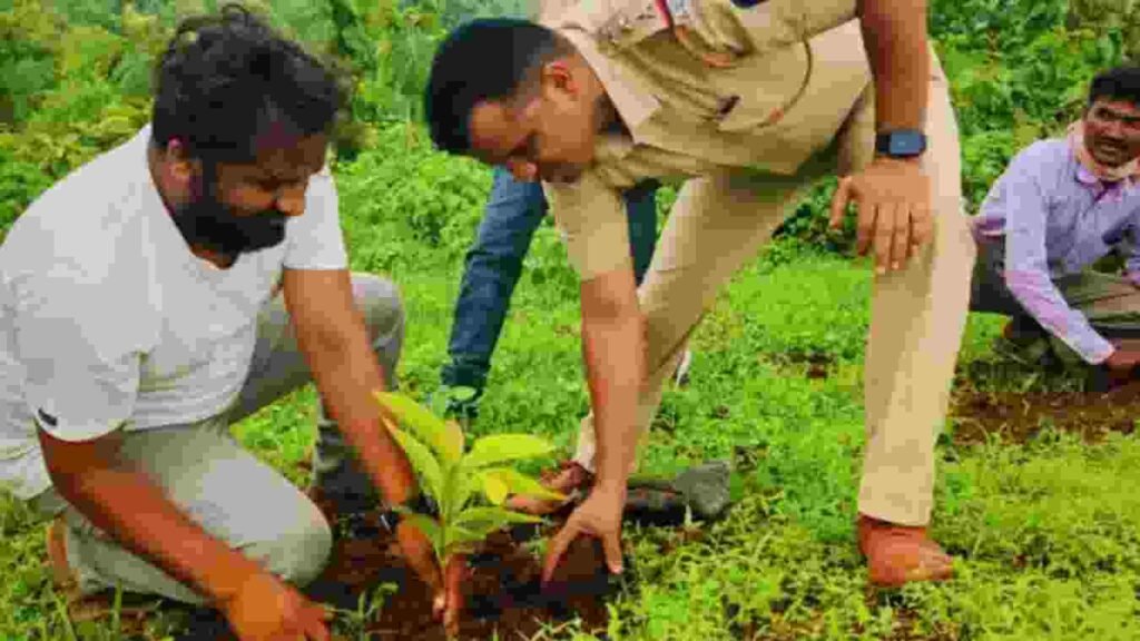 Tree Plantation at Taloda Nandurbar