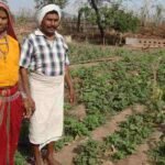Tribal Development Department