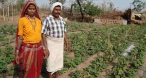 आदिवासी विकास विभागाला लोकसंख्येच्या प्रमाणात निधी देणार-उपमुख्यमंत्री Tribal Development Department