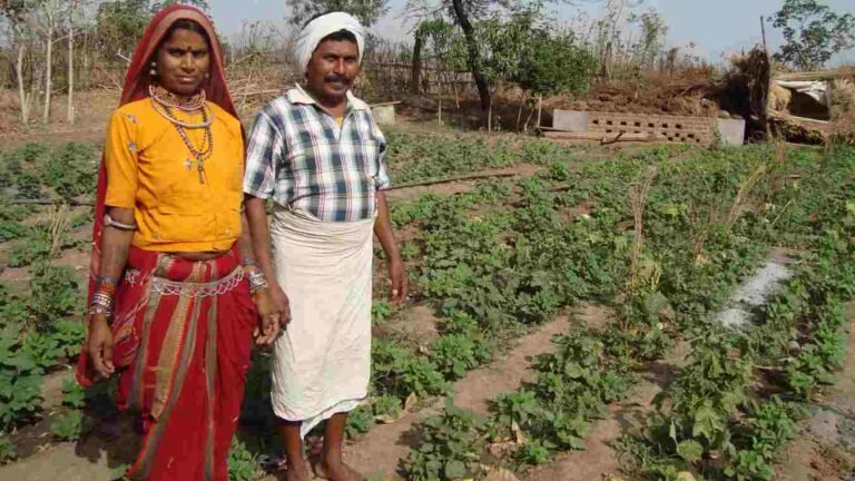 आदिवासी विकास विभागाला लोकसंख्येच्या प्रमाणात निधी देणार-उपमुख्यमंत्री