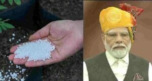 1 युरिया पिशवीची किंमत 3000 रू.मात्र शेतकऱ्यांना 300 रू.ने उपलब्ध–पंतप्रधान नरेंद्र मोदी Urea Bag Price