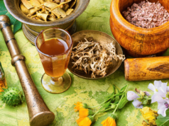 औषधी वनस्पतींचे संवर्धन विकास व शाश्वत व्यवस्थापन योजना medicinal plants scheme