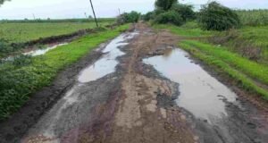तळोदा तालुक्यातील मोड ते खेडले रस्त्याची दुरावस्था : रस्ता दुरुस्तीची मागणी taloda