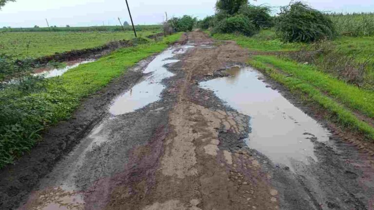 तळोदा तालुक्यातील मोड ते खेडले रस्त्याची दुरावस्था : रस्ता दुरुस्तीची मागणी