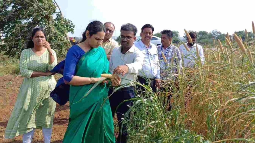 Manisha Khatri Collector Nandurbar