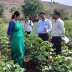 Manisha Khatri Collector Nandurbar